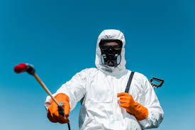 Lawn Pest Control in Winters, TX